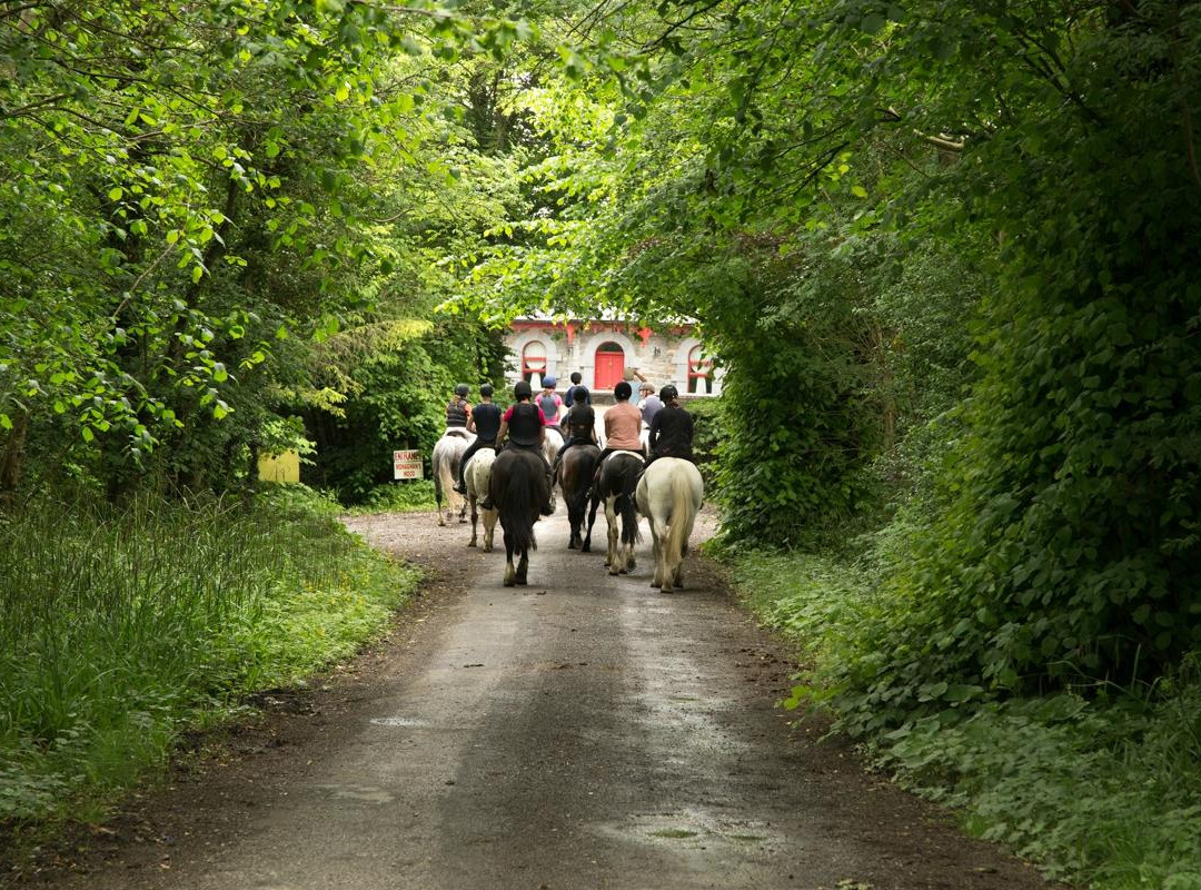 Flowerhill Equestrian Centre景点图片