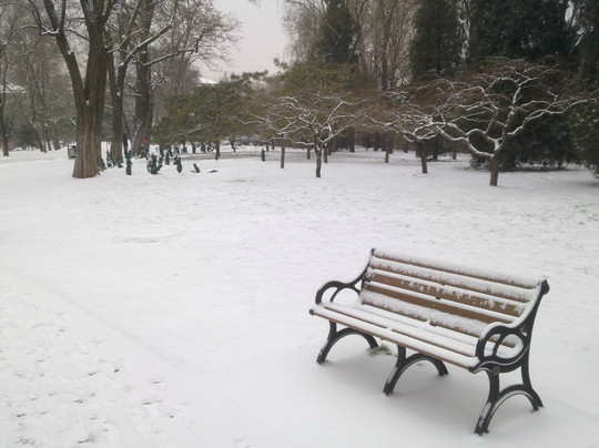 西城人定湖公园-北京市必去景点