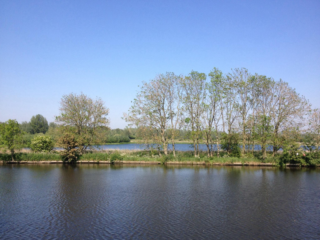 Whitlingham Country Park景点图片