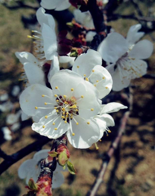 海怡大酒店主图