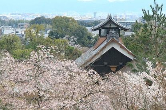 天龙寺-京都市必去景点