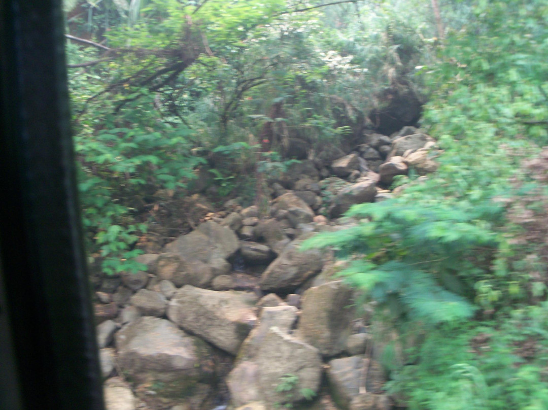 Hutan Lindung Bung Hatta-巴东必去景点
