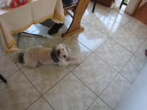 Hostel Donde Rita主图