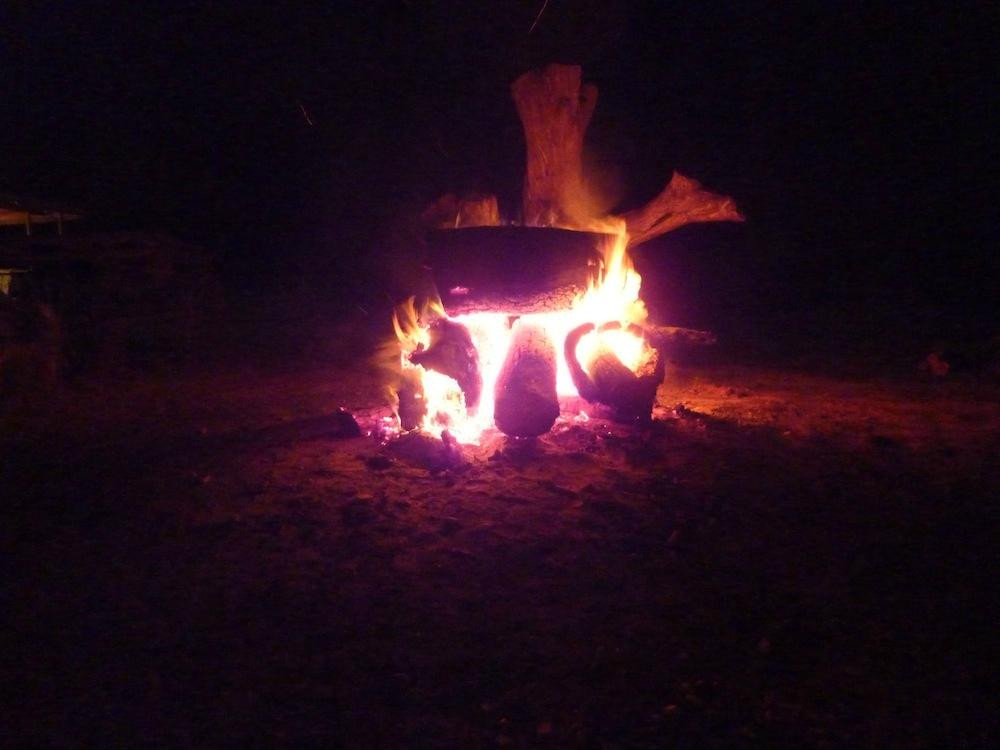 Chesleigh Homestead主图