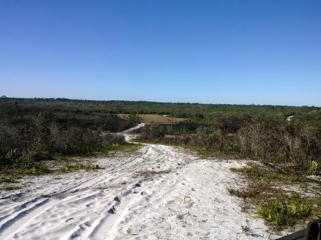 Allen David Broussard Catfish Creek Preserve State Park景点图片
