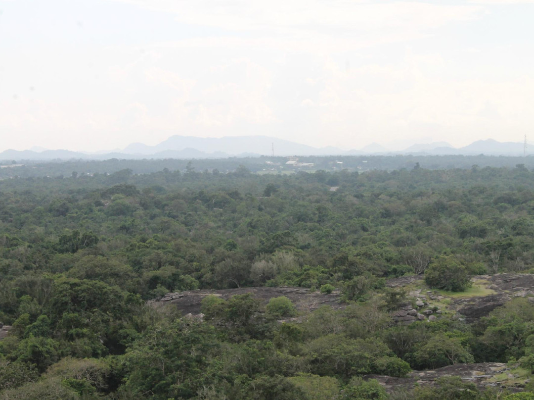 Buddhangala Monastery-Ampara必去景点