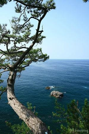 Omijima Nature Path-长门市必去景点