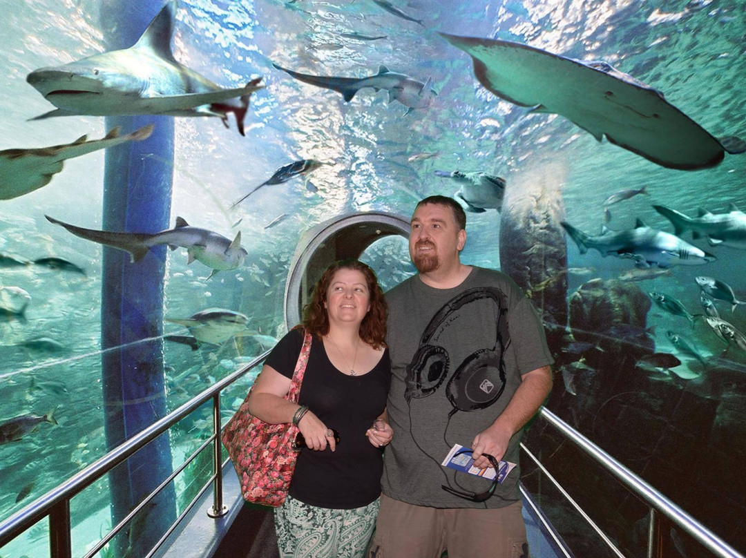 墨尔本水族馆-墨尔本必去景点
