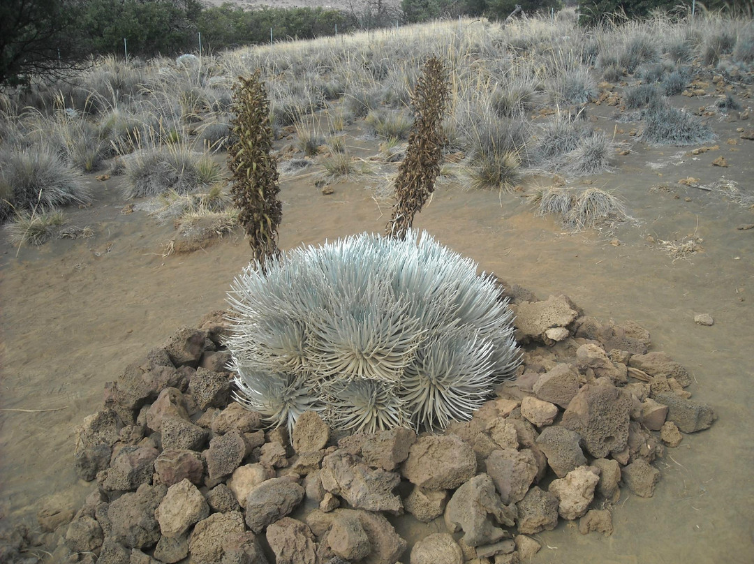游客信息中心-希洛必去景点