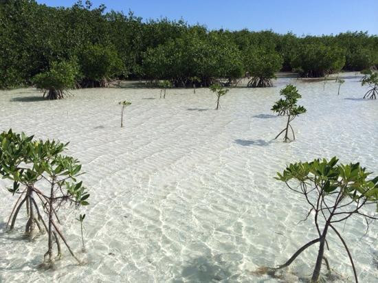Reelax Charters-Sugarloaf Key必去景点