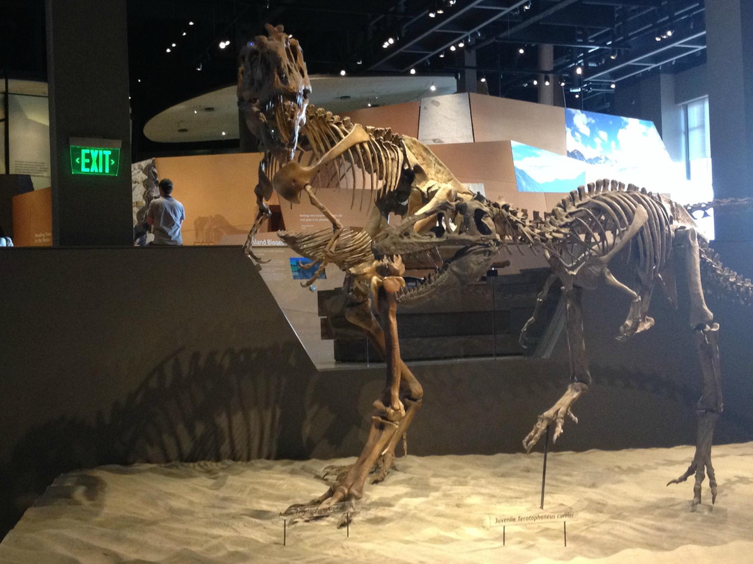 犹他州自然历史博物馆-盐湖城必去景点