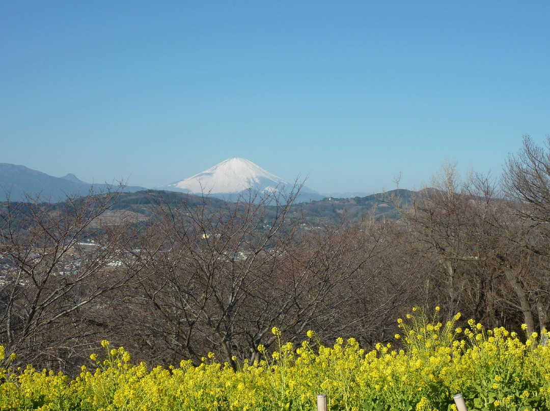 Azumayama Park-二宫町必去景点