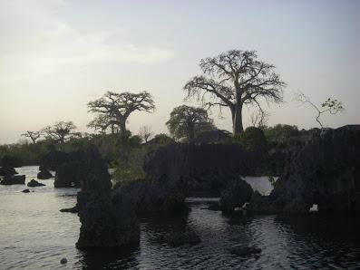 Coral Gardens-Wasini Island必去景点