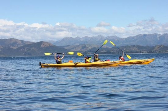 凯库拉皮划艇之旅-Kaikoura必去景点