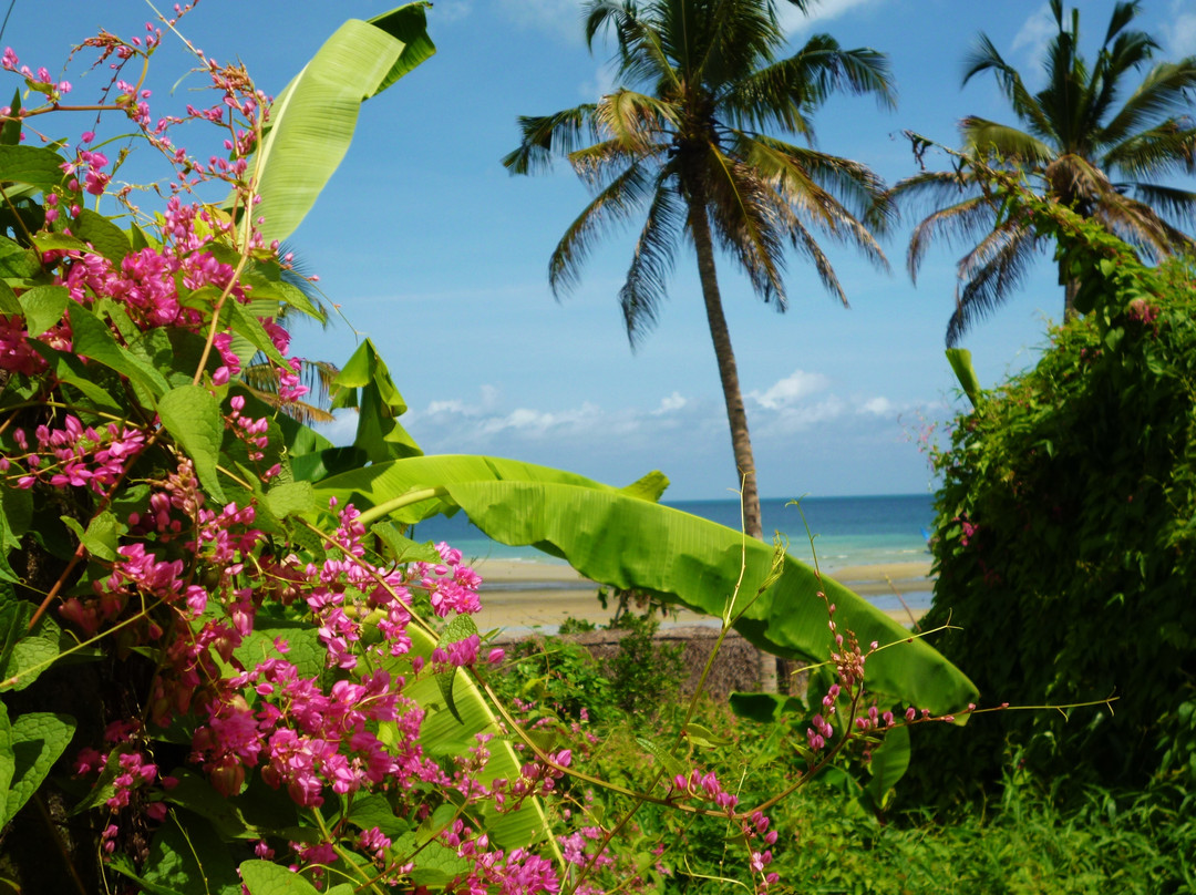 Zanzibar Different Tours - Day Tours景点图片