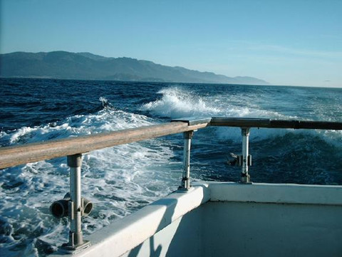 Chris' Fishing Trips & Whale Watching-蒙特雷必去景点