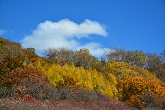 乌兰布统草原-赤峰市必去景点