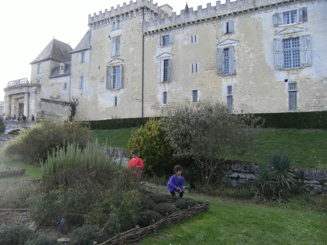 Chateau de Vayres景点图片