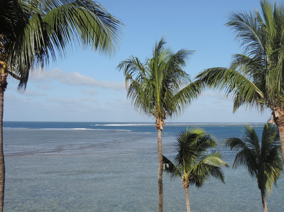 Reef Safari-雅奴卡岛必去景点