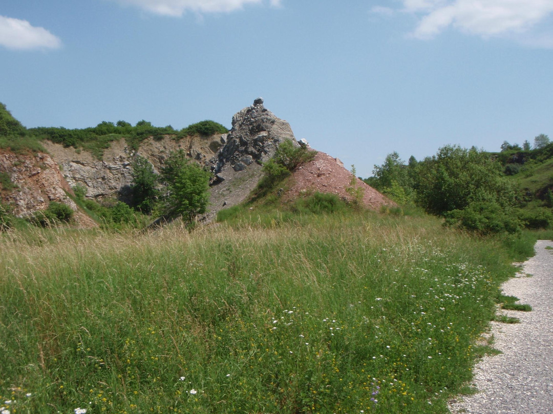 Wietrznia Nature Reserve (Rezerwat Przyrody Wietrznia)景点图片