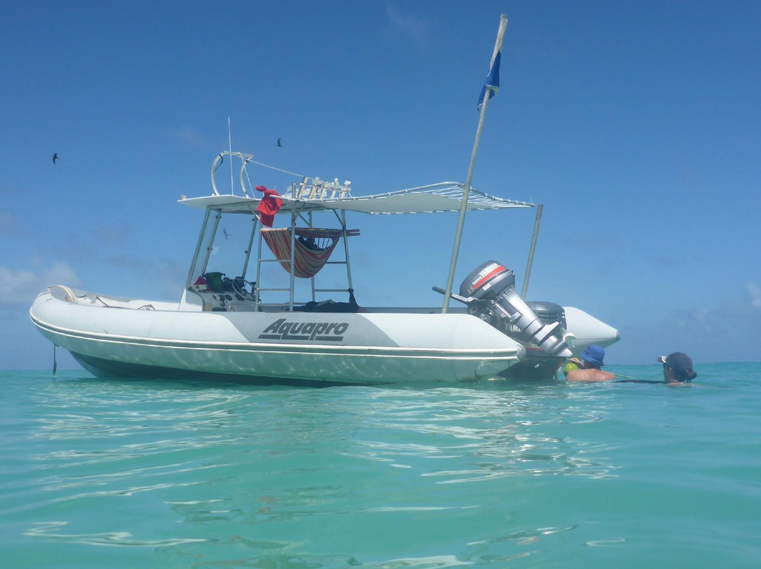 Ha'apai Whale and Sail Ltd-Uoleva Island必去景点