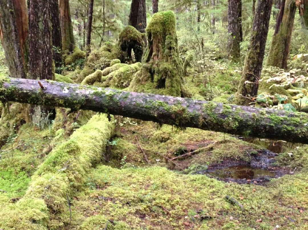 Settlers Cove State Recreational Site-凯奇坎必去景点