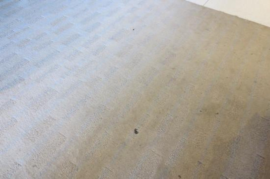 卓悦假日酒店主图