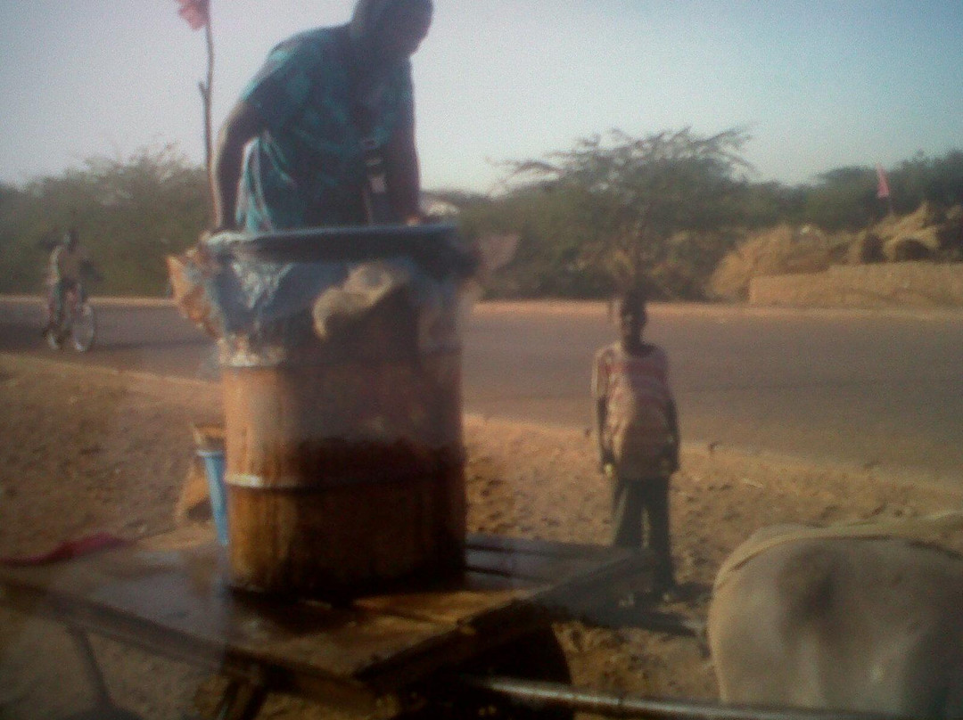 Niger Sahara-Zinder Region必去景点