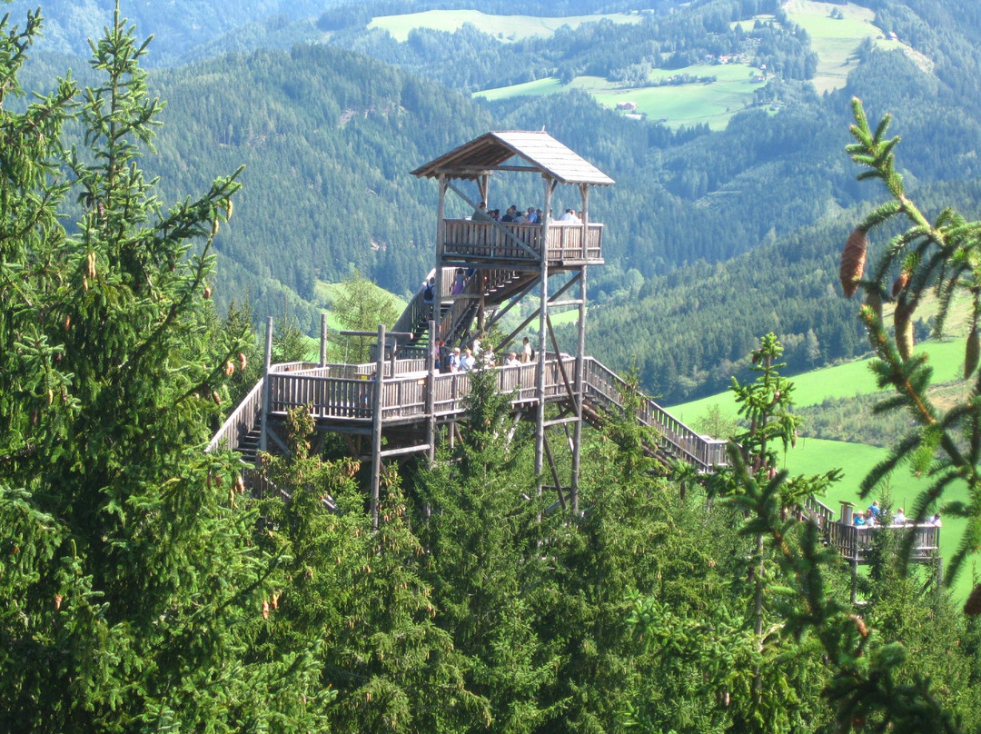 Wipfelwanderweg Rachau-Sankt Margarethen bei Knittelfeld必去景点