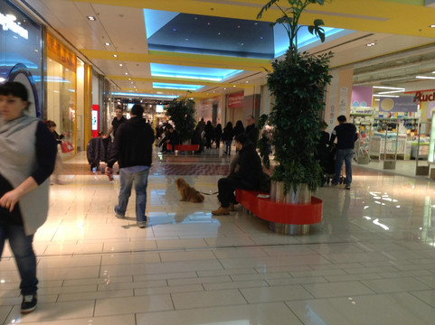 罗马之门-罗马必去景点