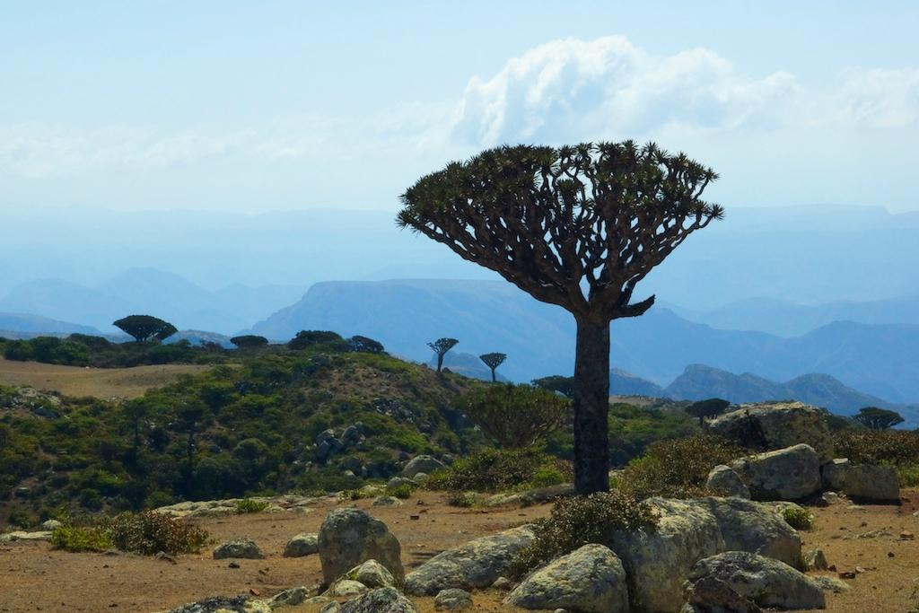 Skand Peak-索科特拉岛必去景点