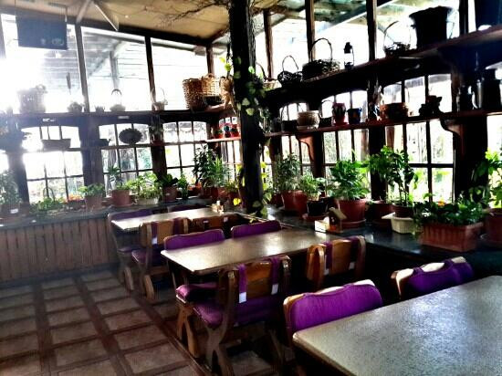 Tubli餐馆和美食-Veranda Restaurant Bahrain