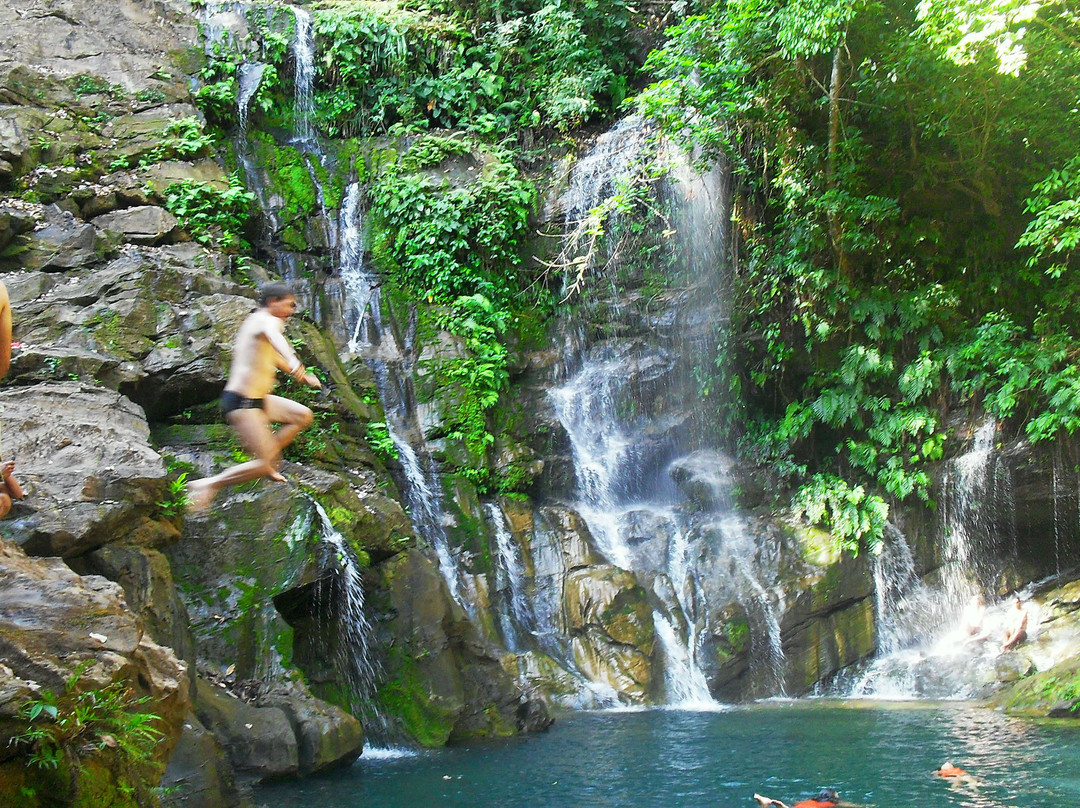 Cocal Waterfall景点图片
