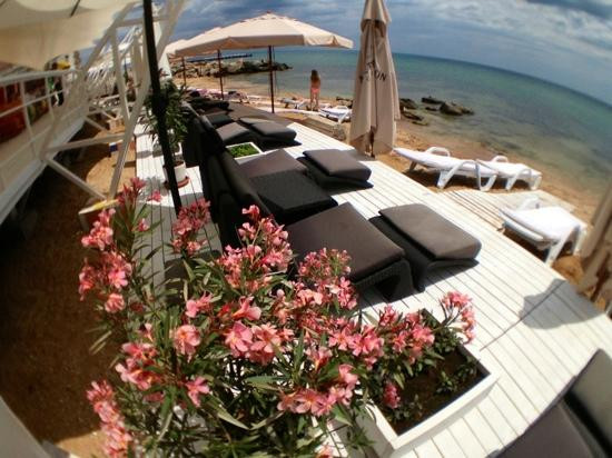 Beach Club 117-Feodosia必去景点