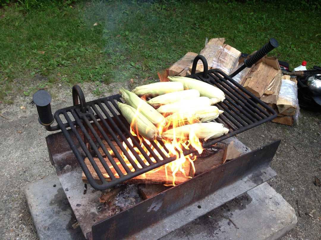 Chain 'O Lakes State Park-Spring Grove必去景点