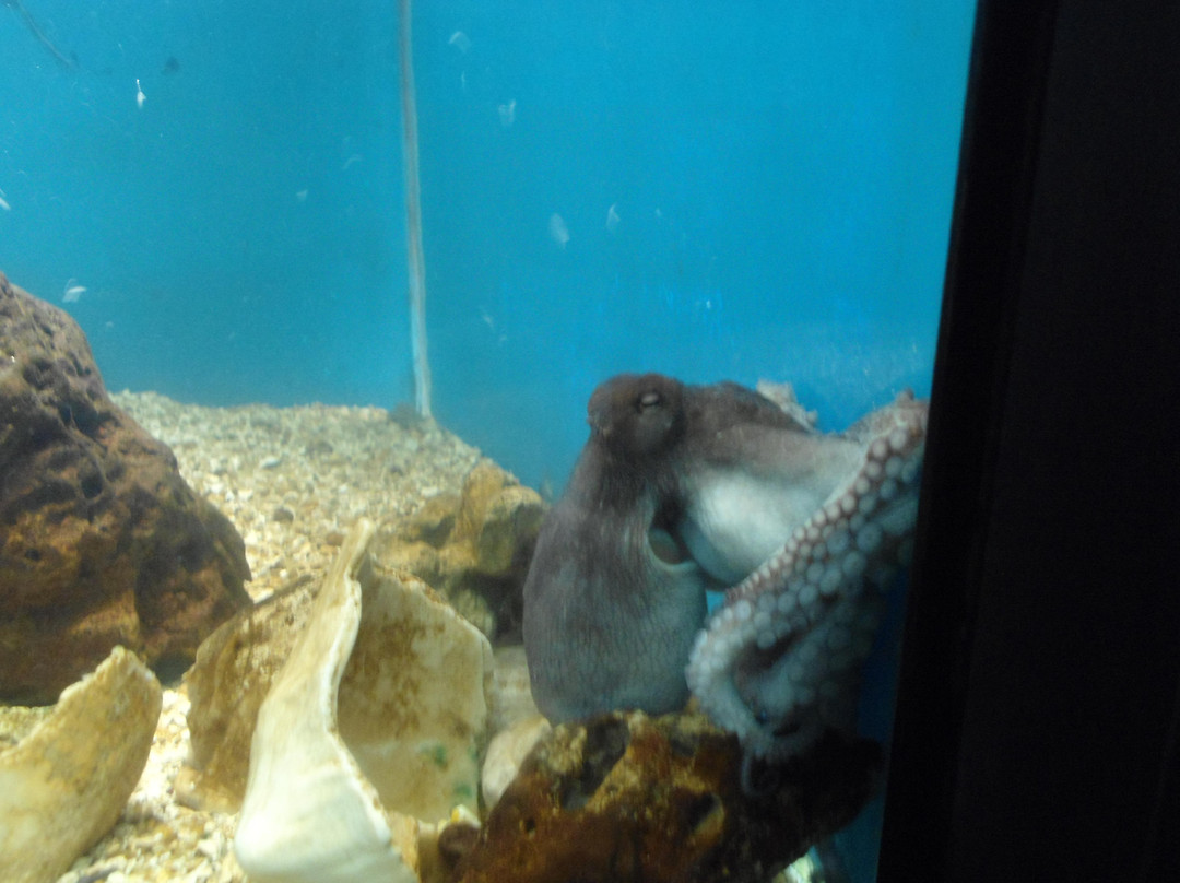 Aquário Natal-Extremoz必去景点