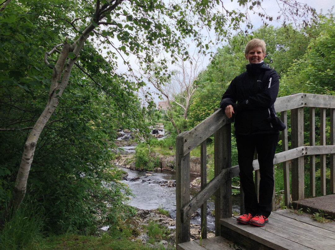 Rennie's River Trail景点图片