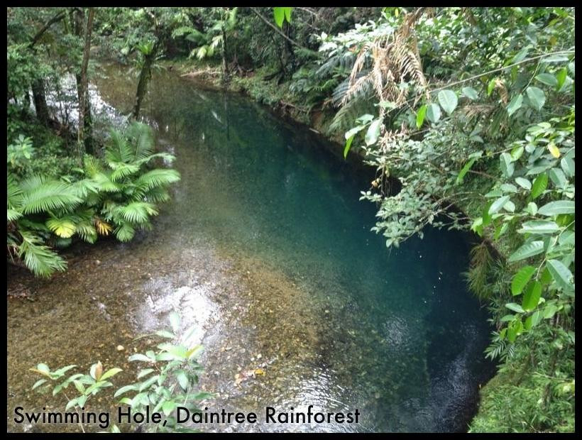 Daintree Wonder Tours-道格拉斯港必去景点