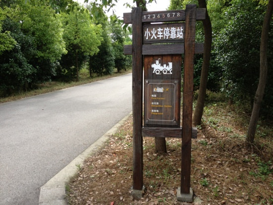 东平国家森林公园-崇明县必去景点