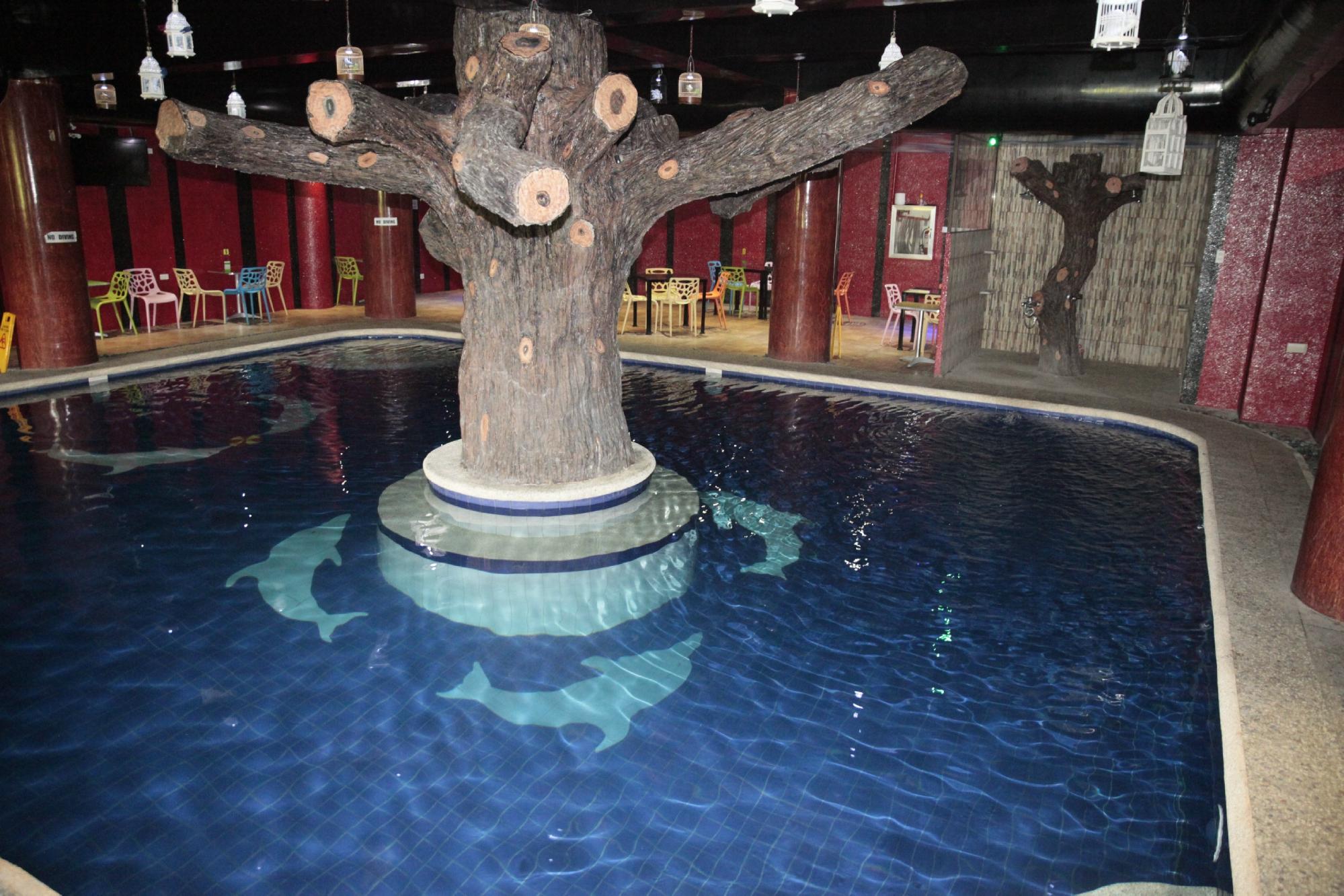 CL Inn-泳池