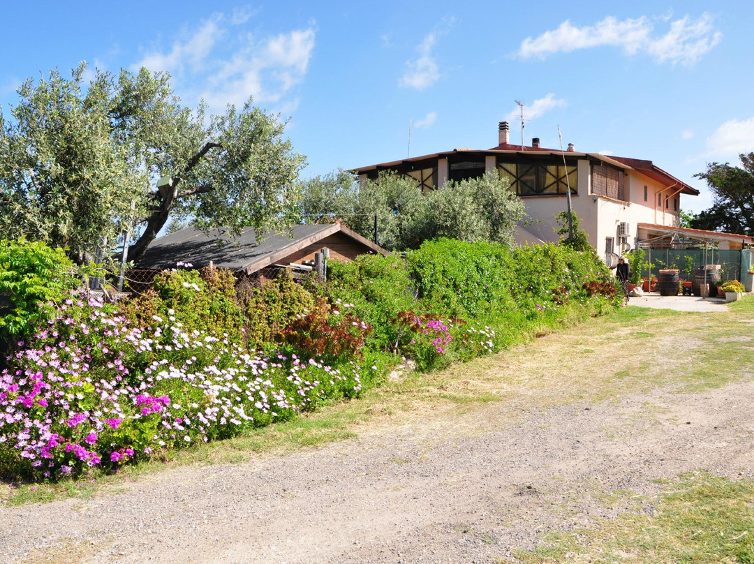 Sorso酒店住宿-Bed & Breakfast MarcoseDelGolfo Sardegna