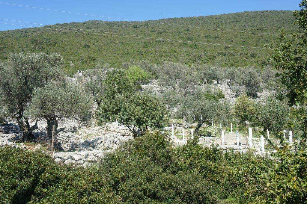 3e Travel Montenegro-科托尔必去景点