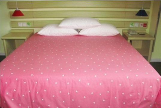 长春如家一汽店主图