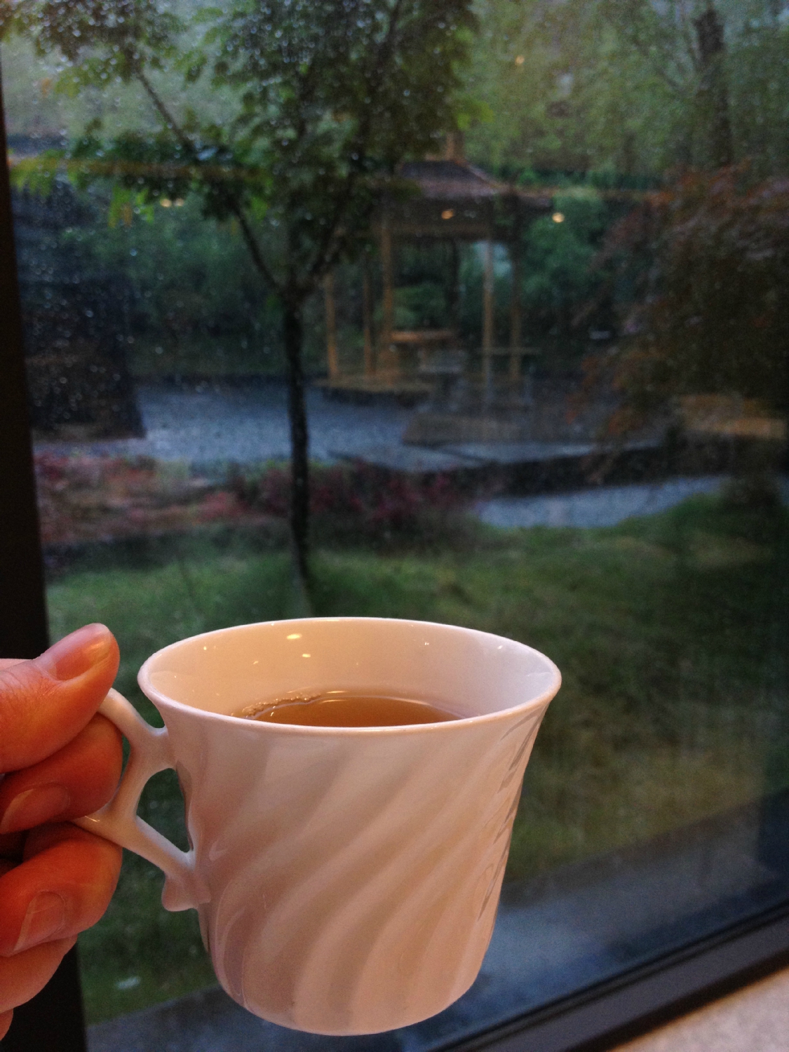 天沐·江西庐山温泉度假村-餐饮