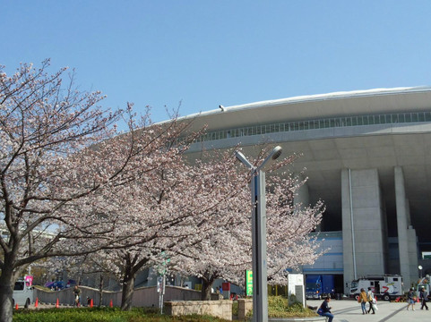 长居公园-大阪市必去景点