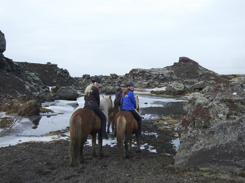 Reykjavik Riding Center-雷克雅未克必去景点