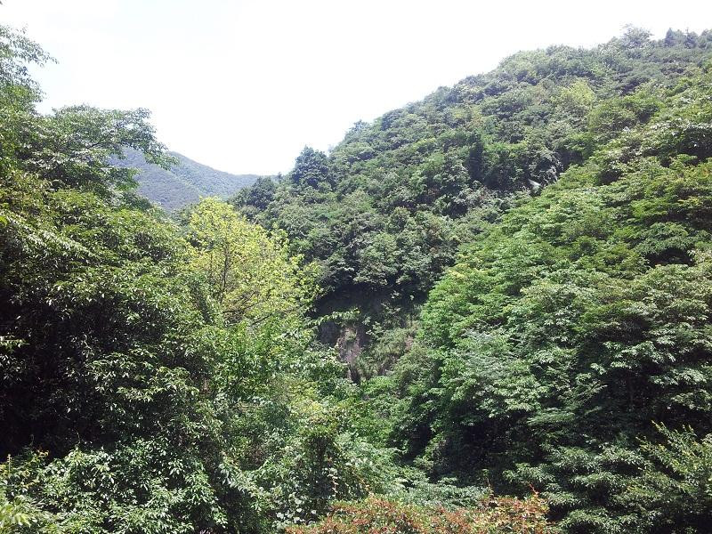 宁波五龙潭-宁波市必去景点