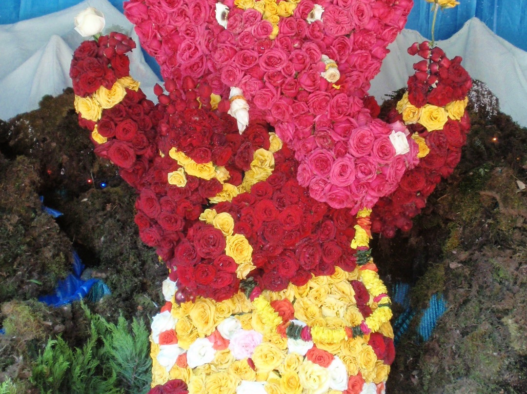 Saramsa Garden-甘托克必去景点