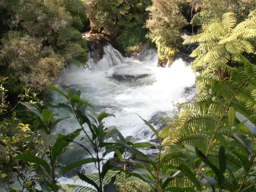 Archer Tours-汉密尔顿必去景点