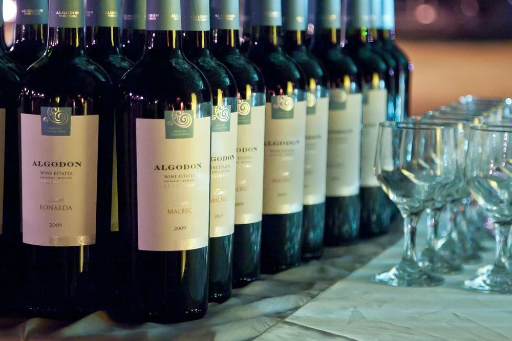 Algodon Winery-圣拉斐尔必去景点